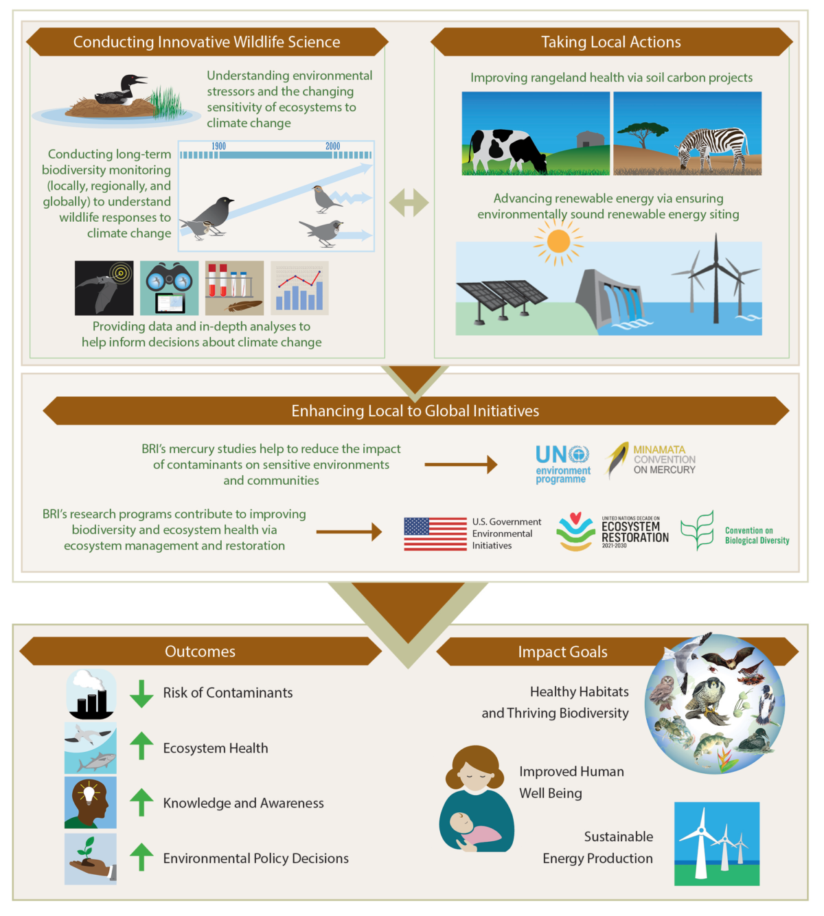 brownInfographic—-BRI-&-Climate-Change