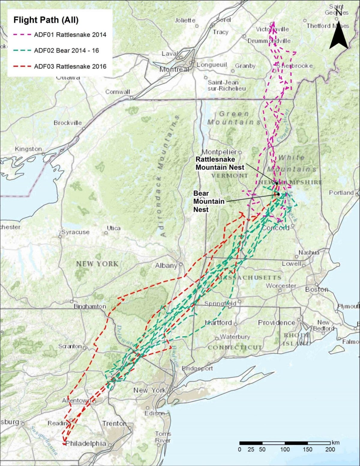 Range And Migration Routes Of New Hampshire Peregrine Falcons 