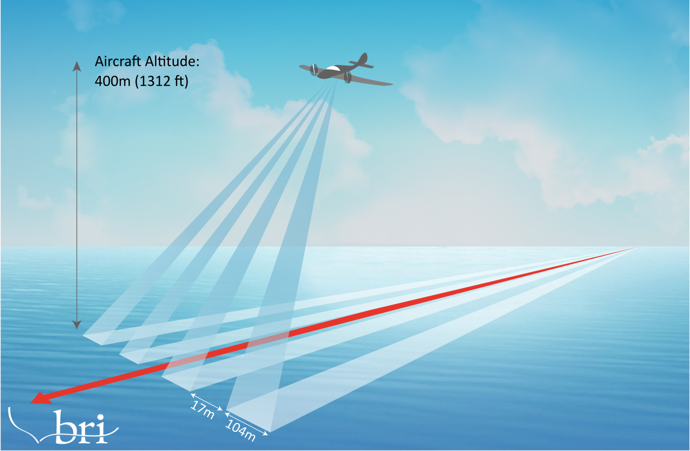 Digital Aerial Surveys - Biodiversity Research Institute - Innovative ...