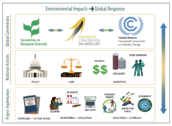 This graphic shows how a coordinated multilevel effort can help mitigate environmental threats.