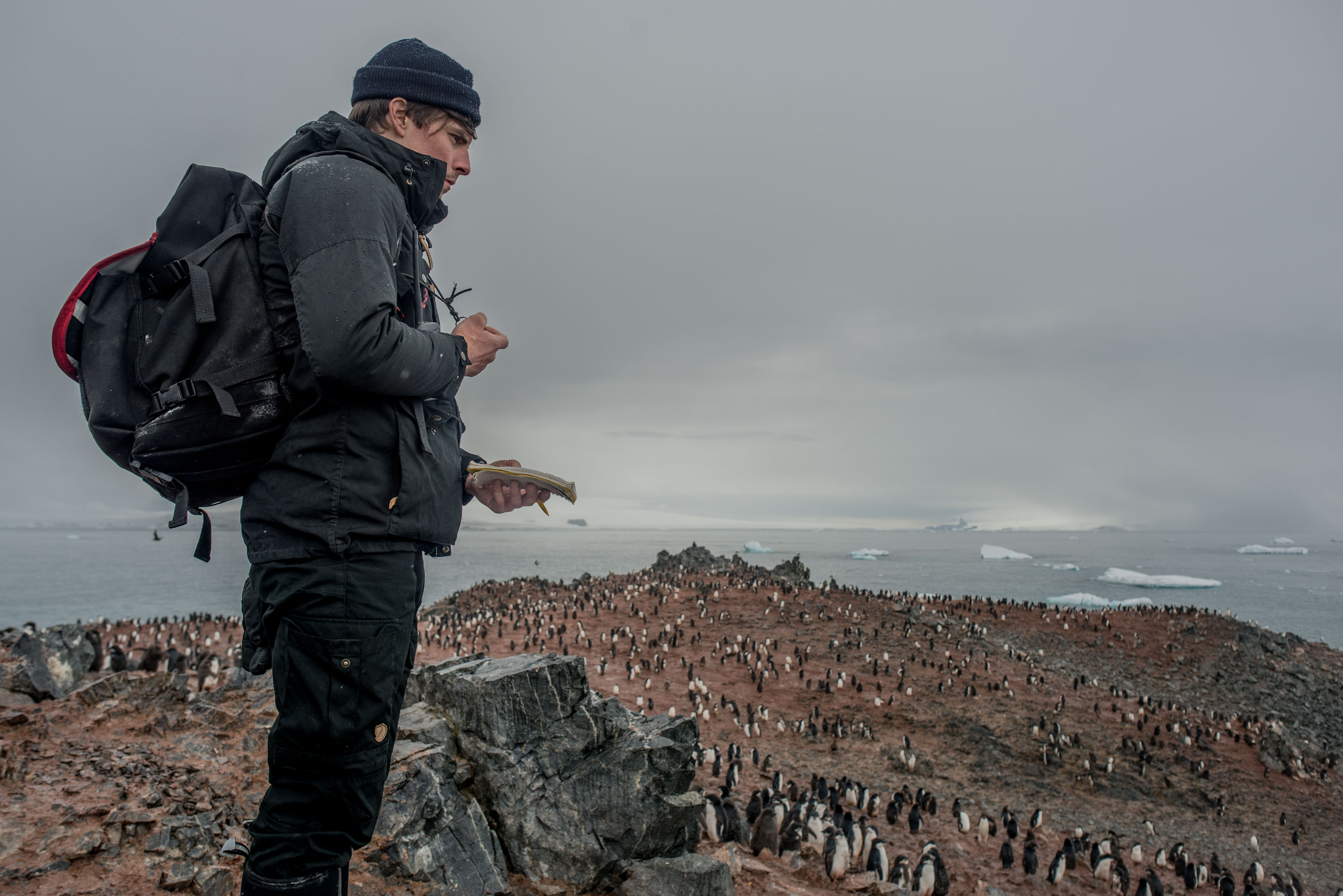 Wethington_Antarctica