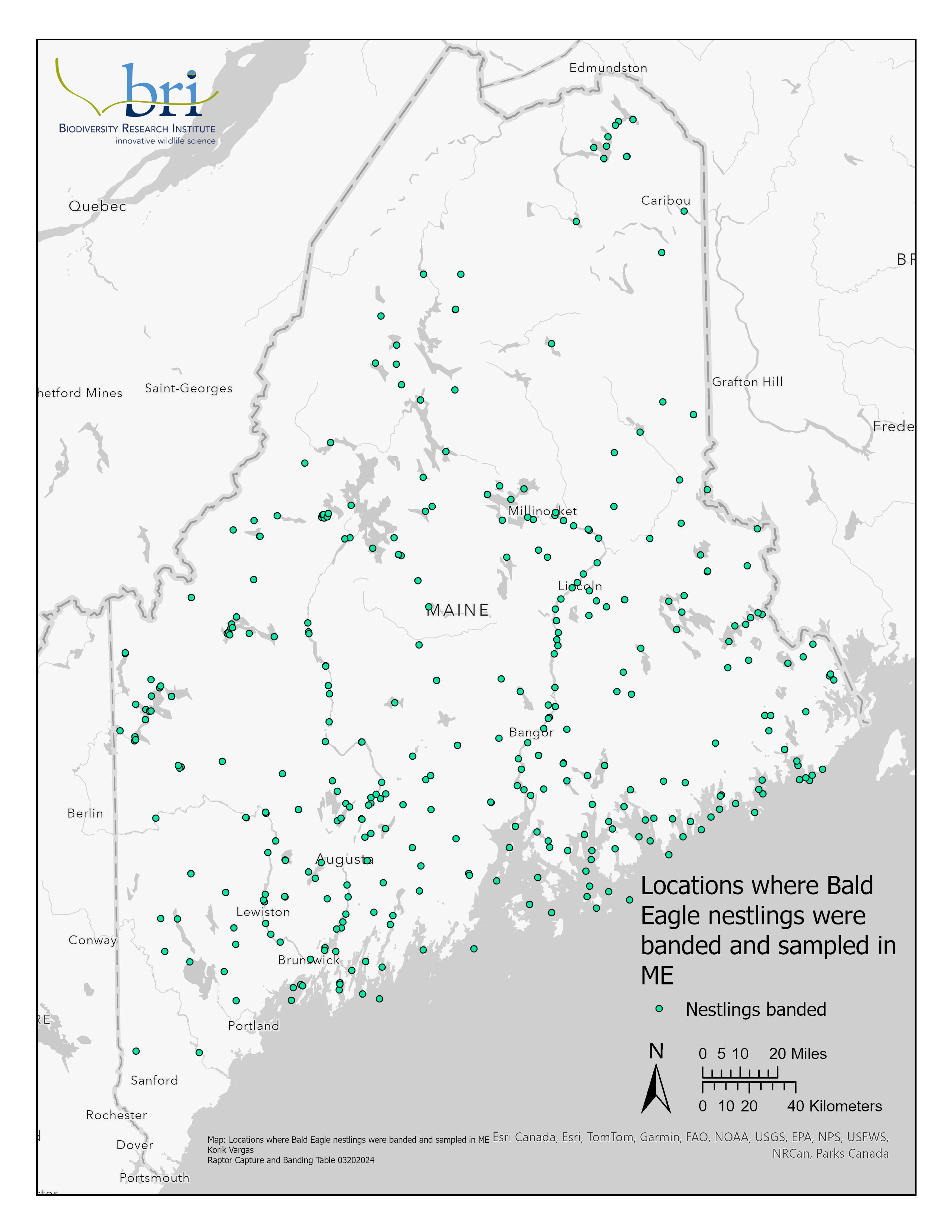 BAEA_nestlings_banded_ME
