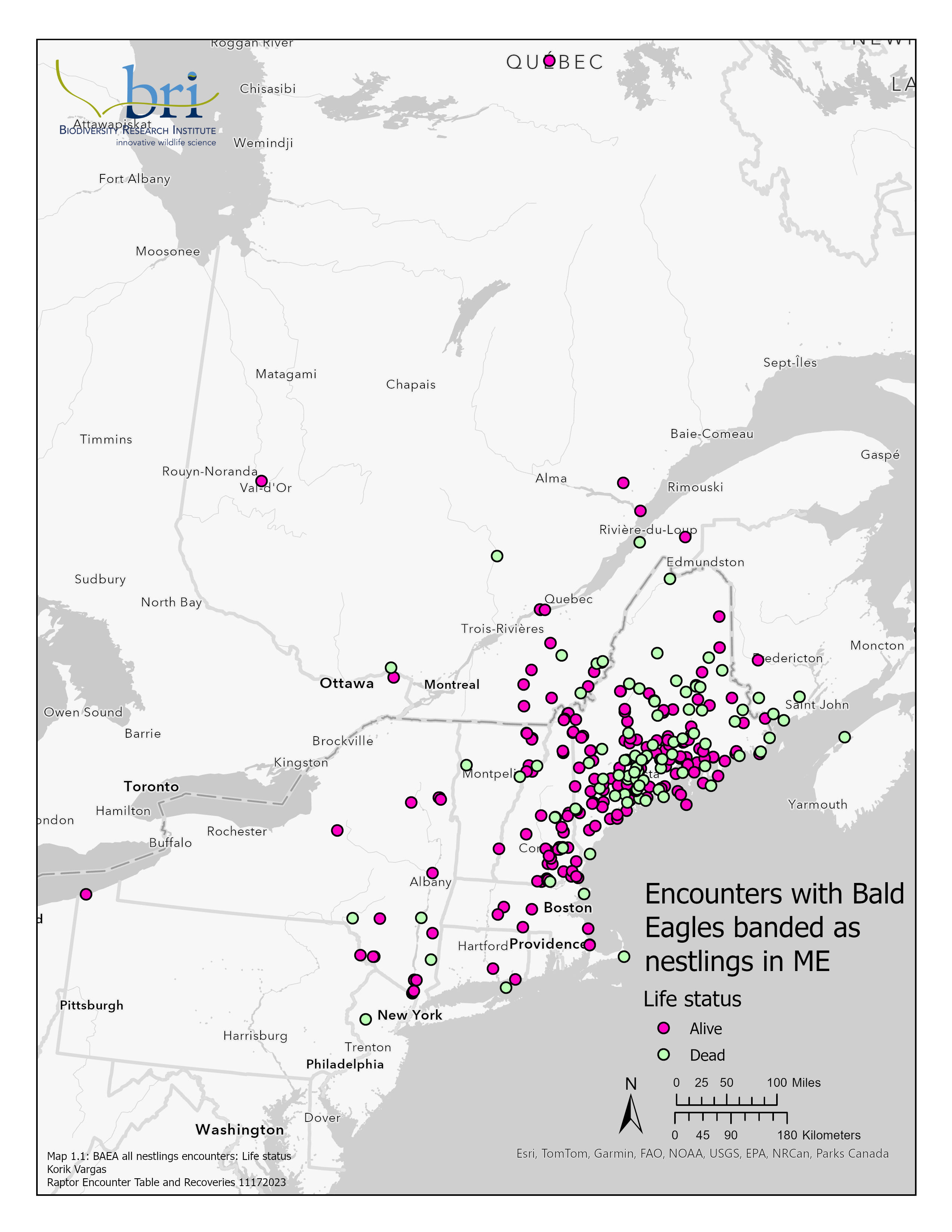 Map1_1_BAEA_All_Nestling_Encounters_life (1)
