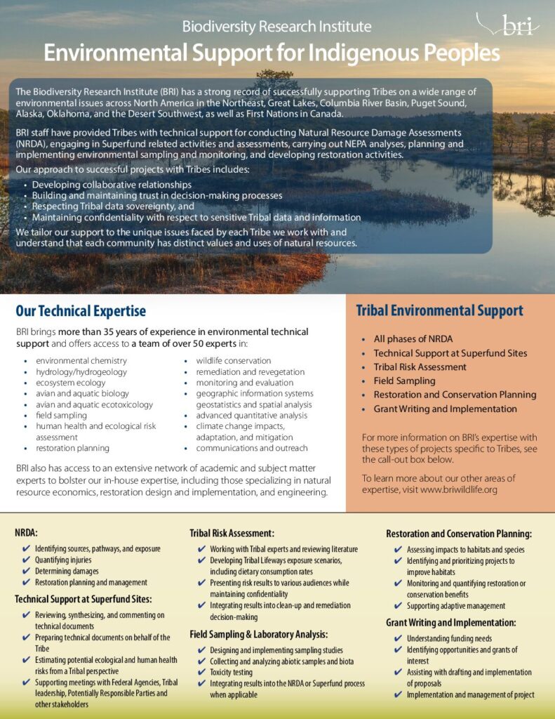 Environmental Support for Indigenous Peoples